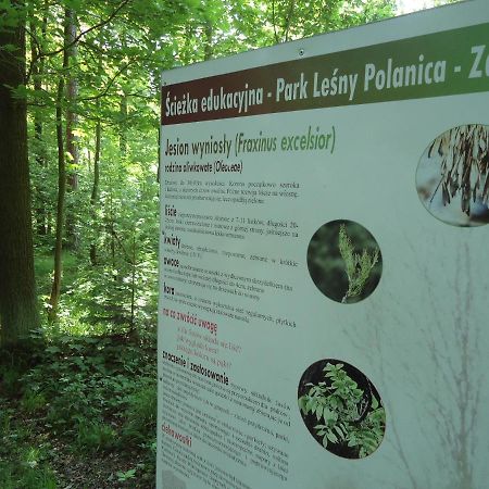 Apartament 221 Przy Niedzwiadku Polanica-Zdrój Kültér fotó